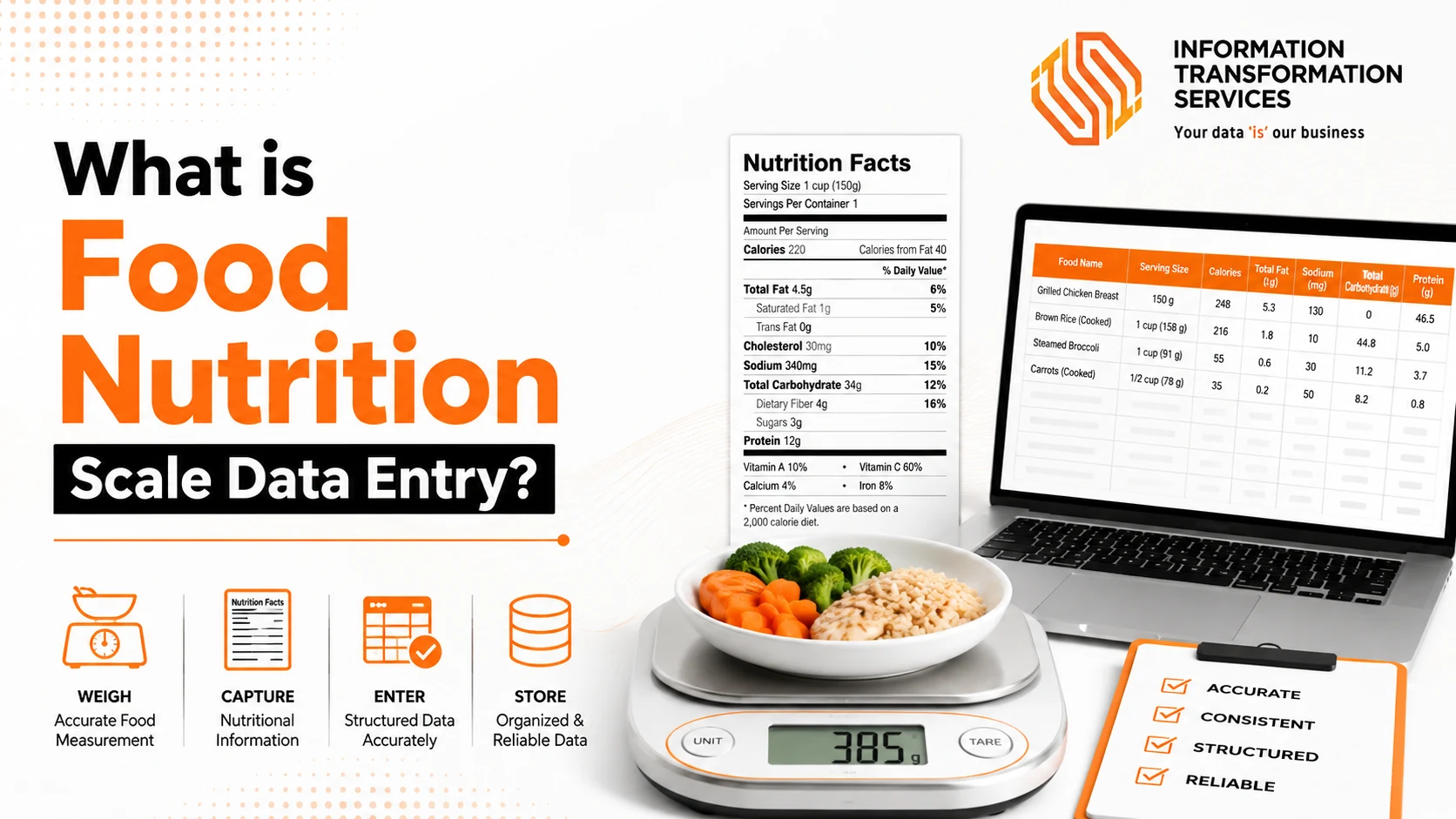 What is Food Nutrition Scale Data Entry?