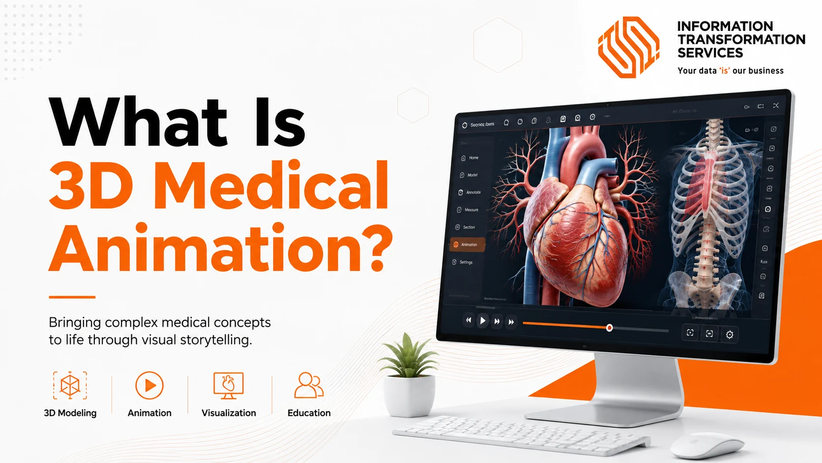 What Is 3D Medical Animation?