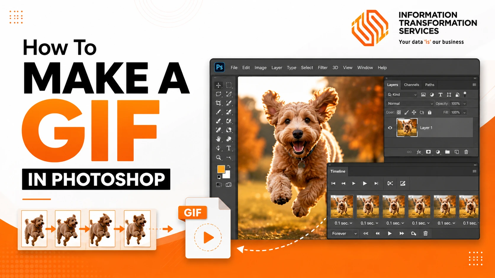 How To Make A GIF In Photoshop