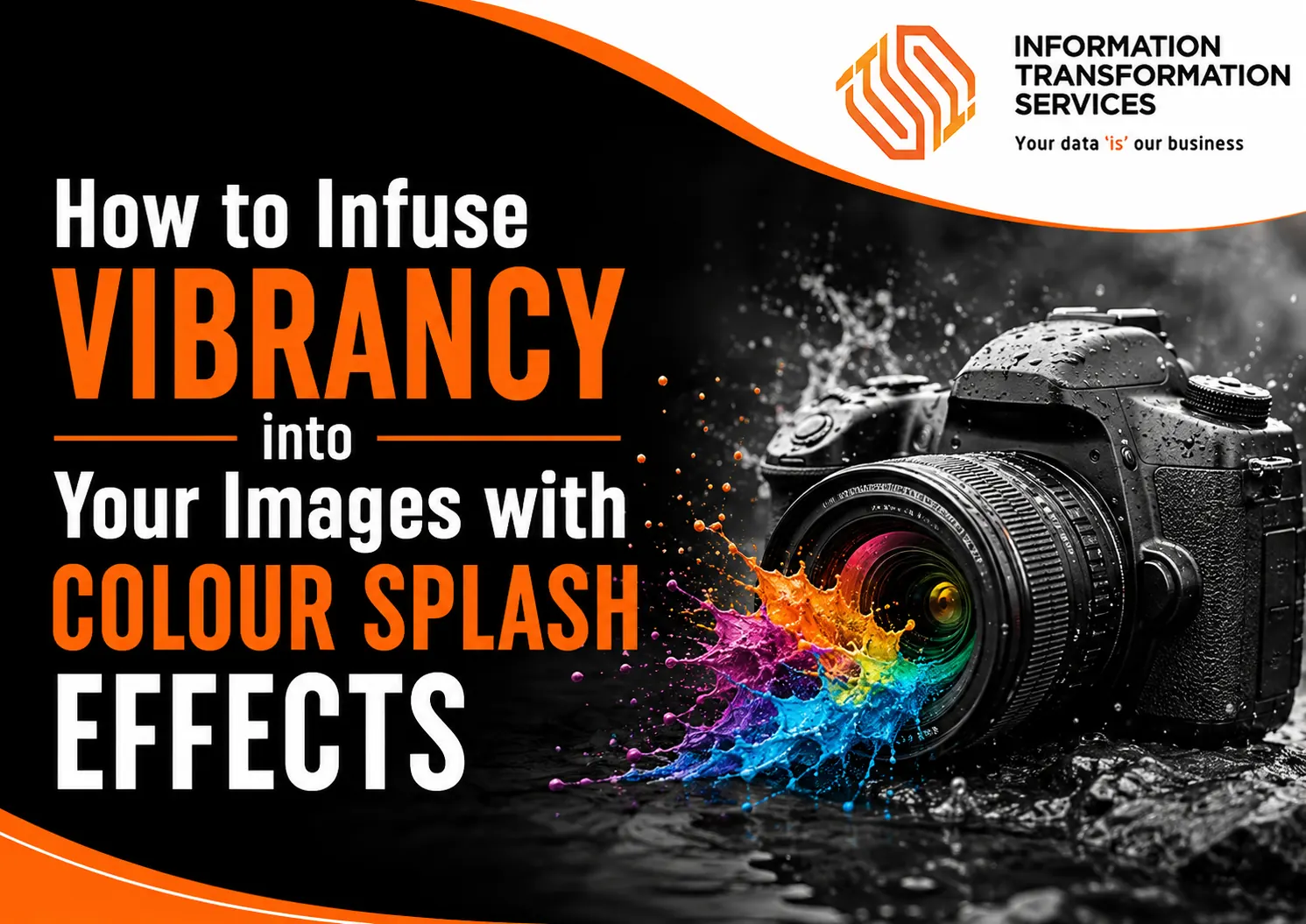 How to Infuse Vibrancy into Your Images with Colour Splash Effects