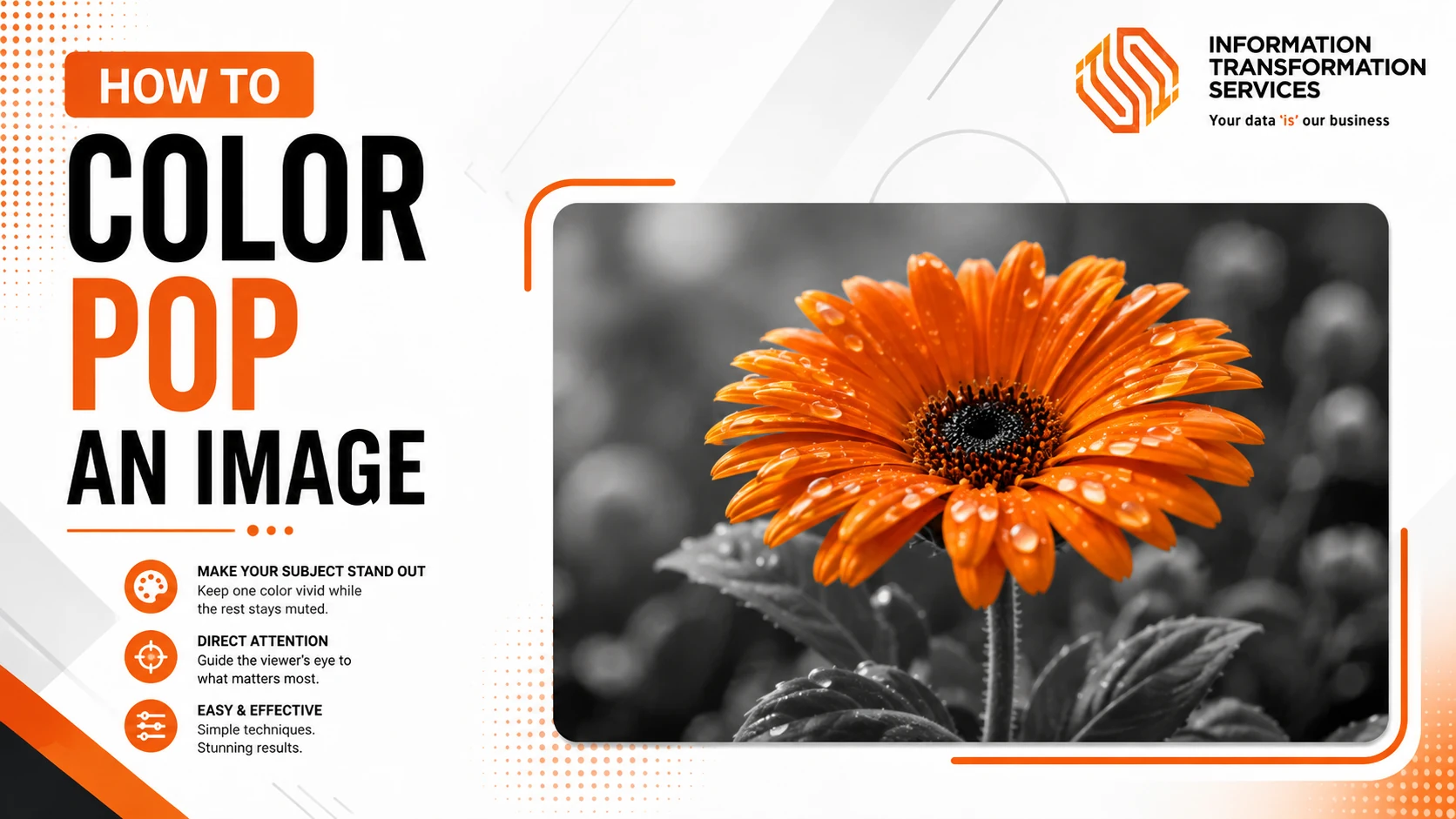 How To Color Pop An Image