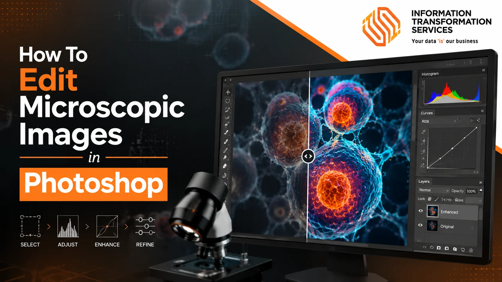 How To Edit Microscopic Images in Photoshop