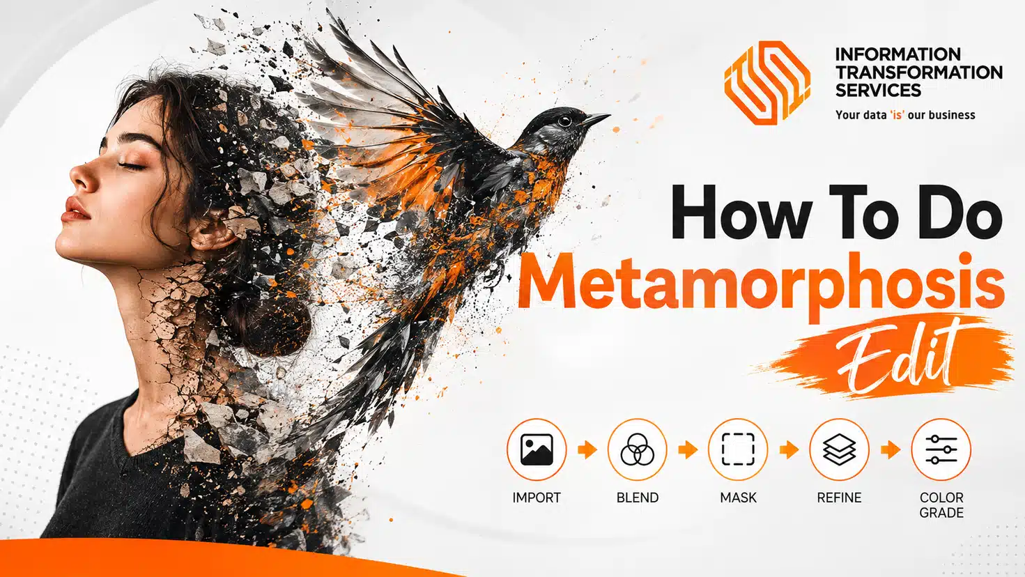 How To Do Metamorphosis Edit