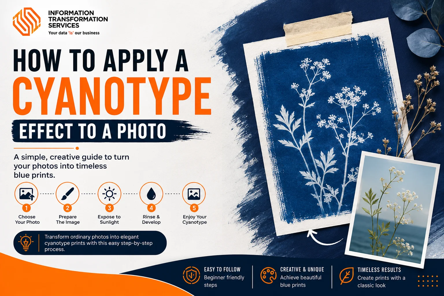 How To Apply A Cyanotype Effect To A Photo