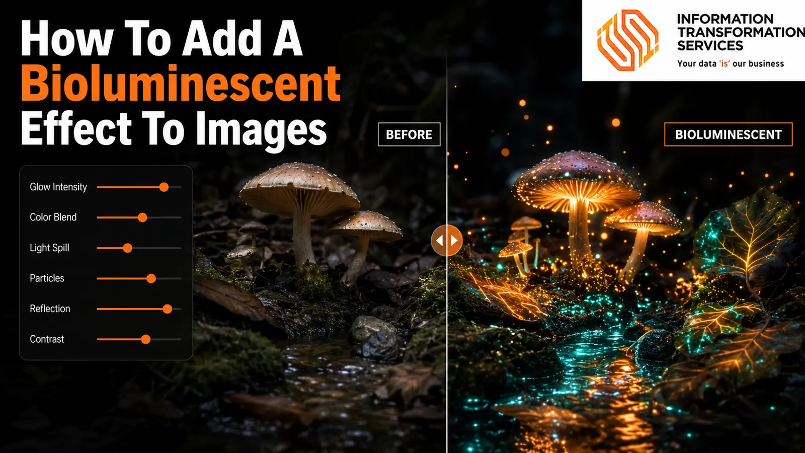 How To Add A Bioluminescent Effect To Images