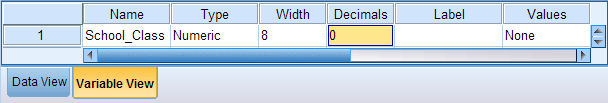 Snapshot of variable view immediately after creating a new variable called School_Class. The number of decimal places has been changed to 0.