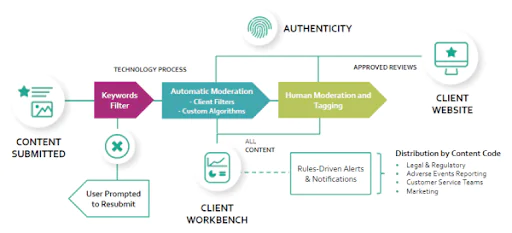 Content moderation - SI410