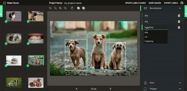 Free Image Annotation Tool MakeSense