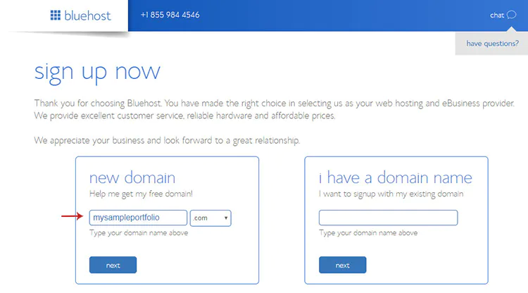enter domain name