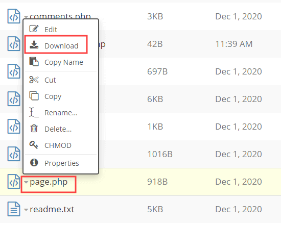 Downloading the page php file for your site