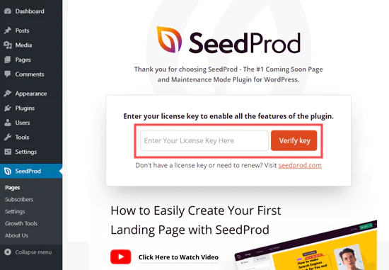 Entering your license key for SeedProd