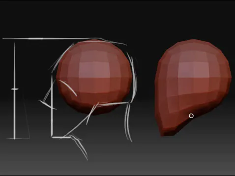 Sculpting a Head | ZBrush Docs