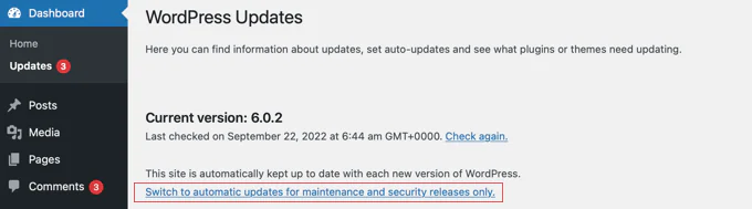 Disable Automatic WordPress Updates Except Security Updates