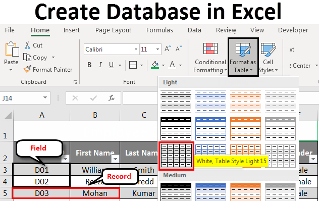 database using MS EXCEL