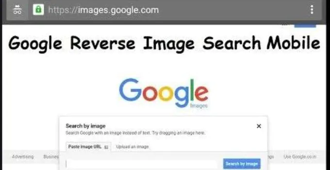 How to Do a Reverse Image Search from Your Phone