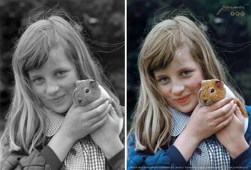 How To Colourize Black And White Photos