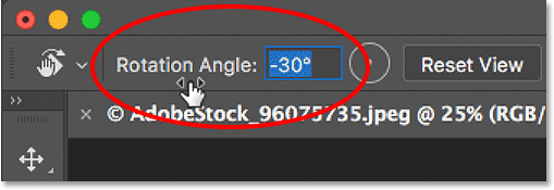 Rotating the view with the Scrubby Slider in Photoshop