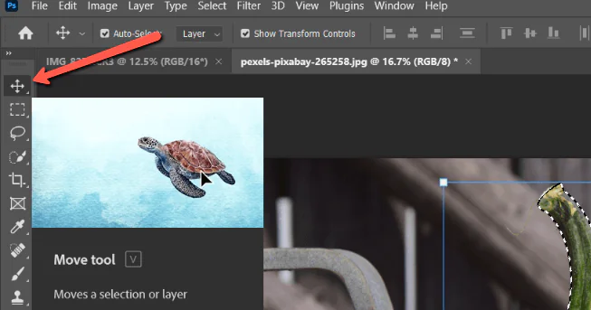 https://www.photoshopbuzz.com/wp-content/uploads/how-to-move-a-selection-in-photoshop-6.png