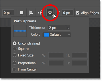 https://pe-images.s3.amazonaws.com/basics/2022/shape-tools/gear-icon-path-options.png