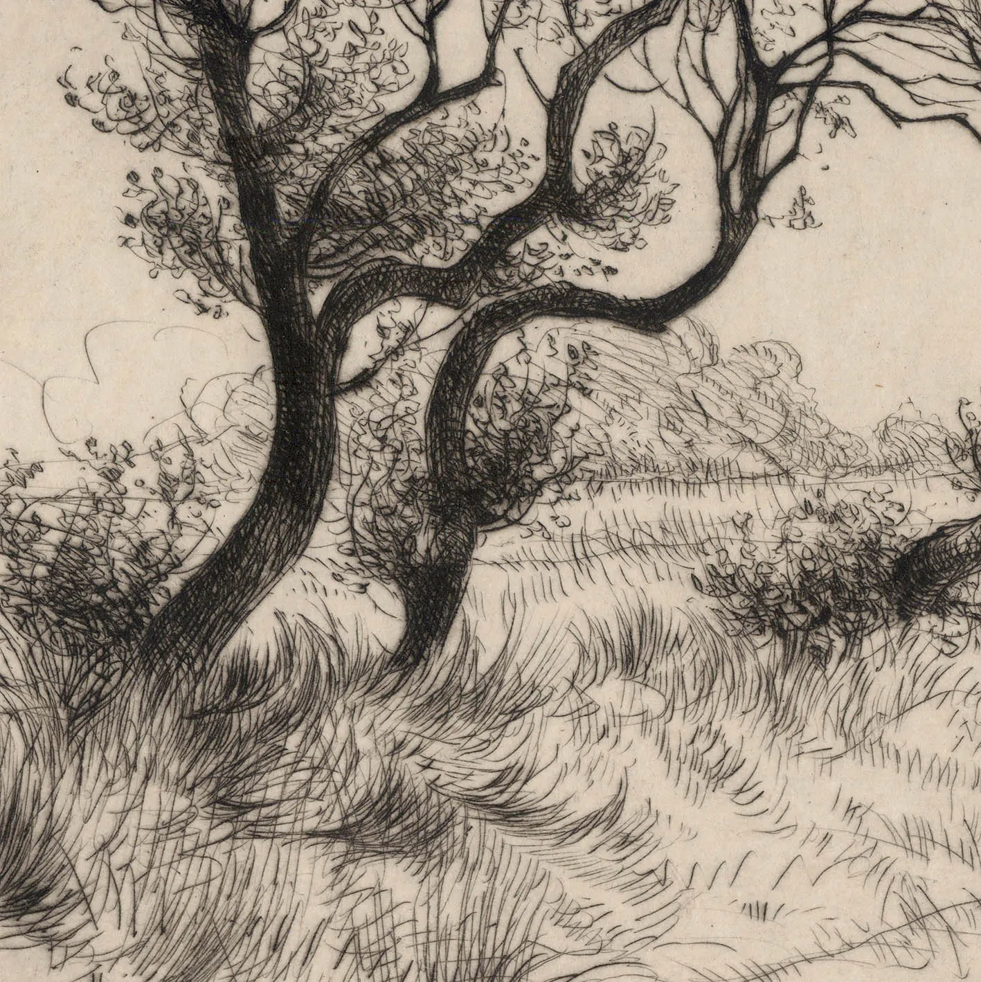 How To Create A Drypoint Effect