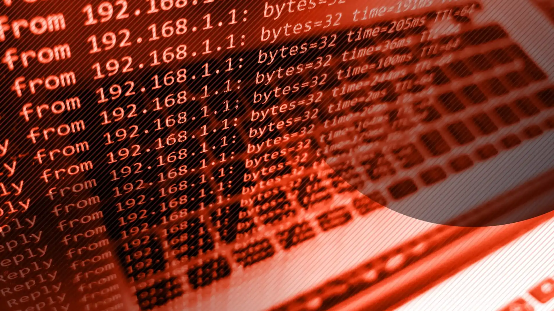 StressThem: The Leading IP Stresser and Booter Service