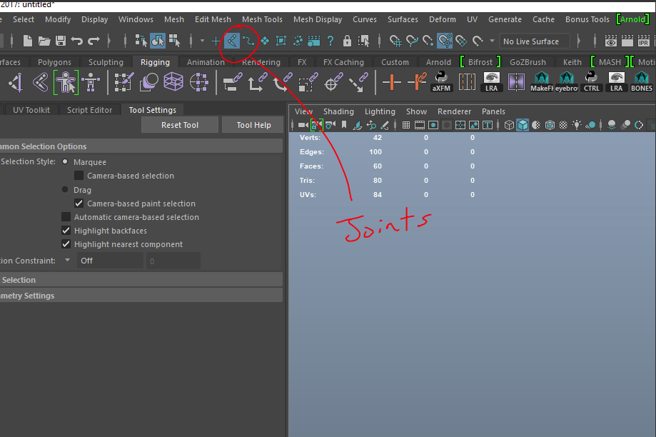 Building Your Skeleton and Placing Joints